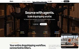 DSers website preview